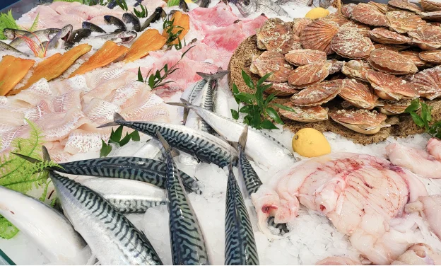 Poissonnier Traiteur à Montauban - Tarn et Garonne 82