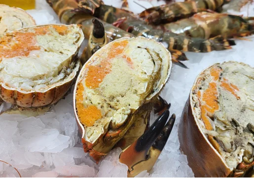 Huîtres gratinées à Montauban - 82